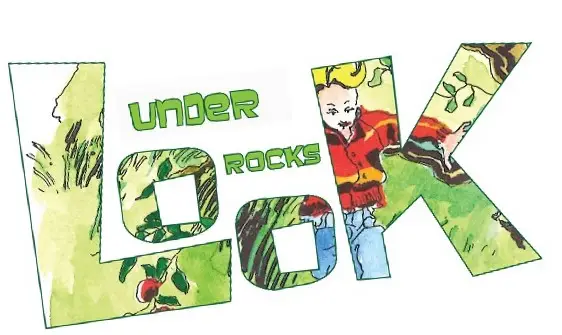 Look Under Rocks Blog